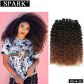 Spark Human Hair Afro Kinky Curly Ombre 100%  Remy Human Hair Extensions Brazilian Hair Weave Bundles 1/3/4 Bundles Deals