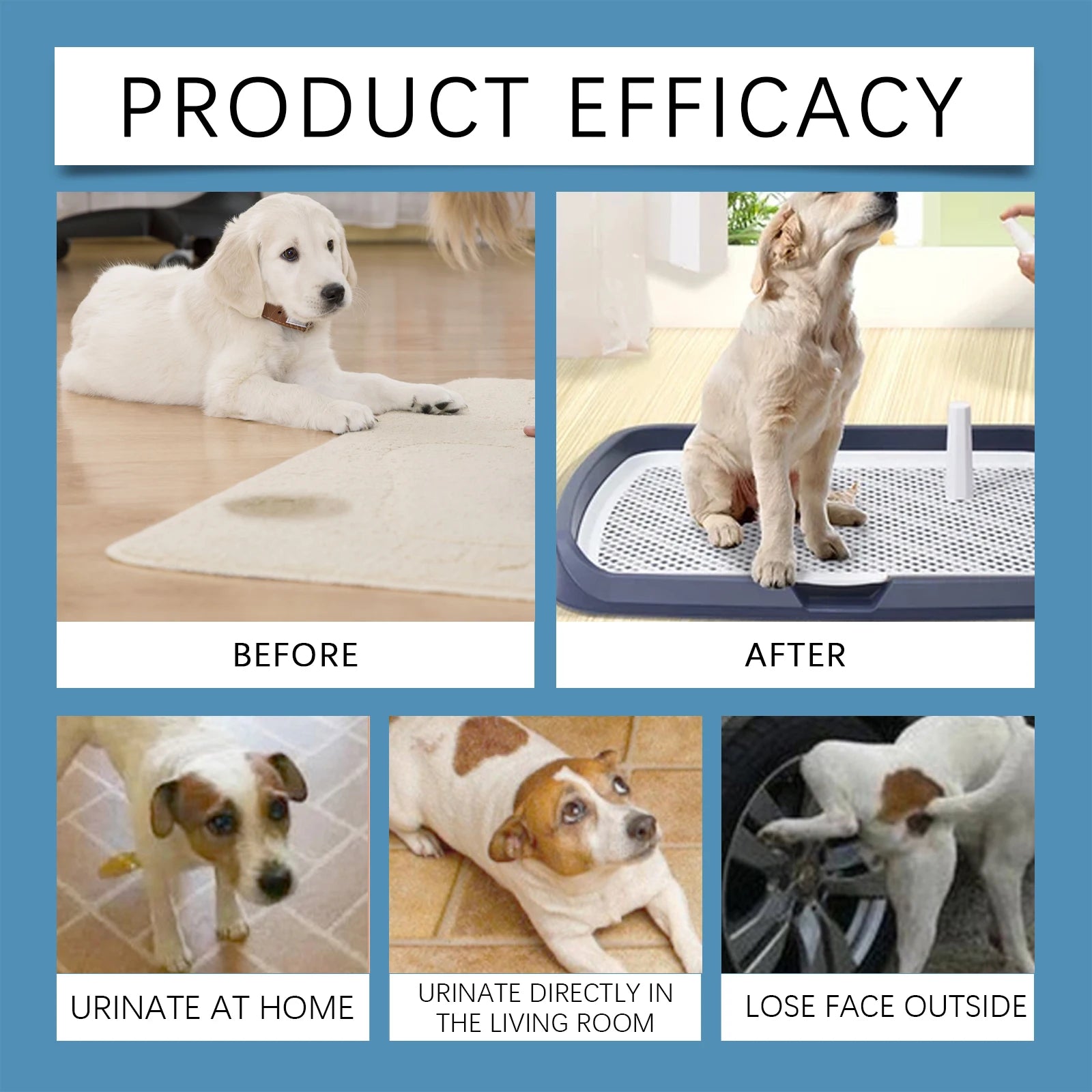 YEGBONG 50ml Pet Potty Training Spray with Gentle Attractant Scent Hypoallergenic Non Irritating Formula for Dogs and Cats