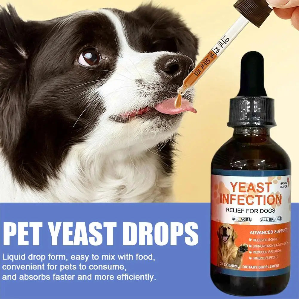 6ml Pet Yeast Infection Drops for Dogs & Cats Natural Herbal Supplement Support Gut Health & Immune System Easy to Administer