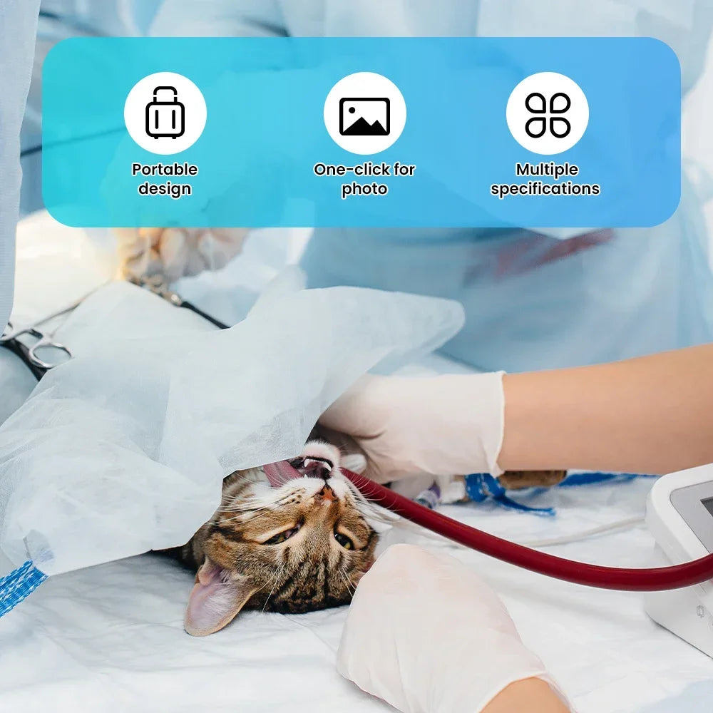 Disposable ENT Veterinary Endoscope Camera Multi-function Flexible Urology Endoscopy Cystoscope For Animal Pet Surgical